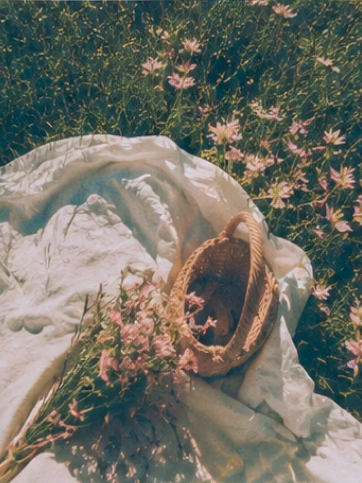 A woven bag and a bunch of pink flowers resting on a picnic blanket